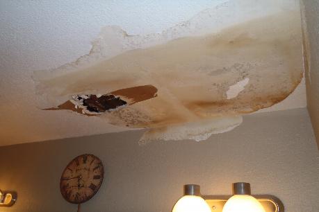 Water Damage Phoenix Mold Remediation Contractor